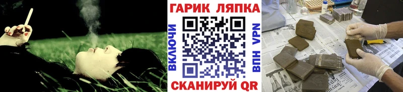 ГАШ Изолятор  Чудово 